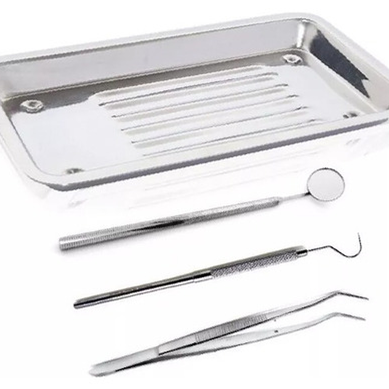 Set De Examen Dental Con Bandeja Acero Completo Calidad 5