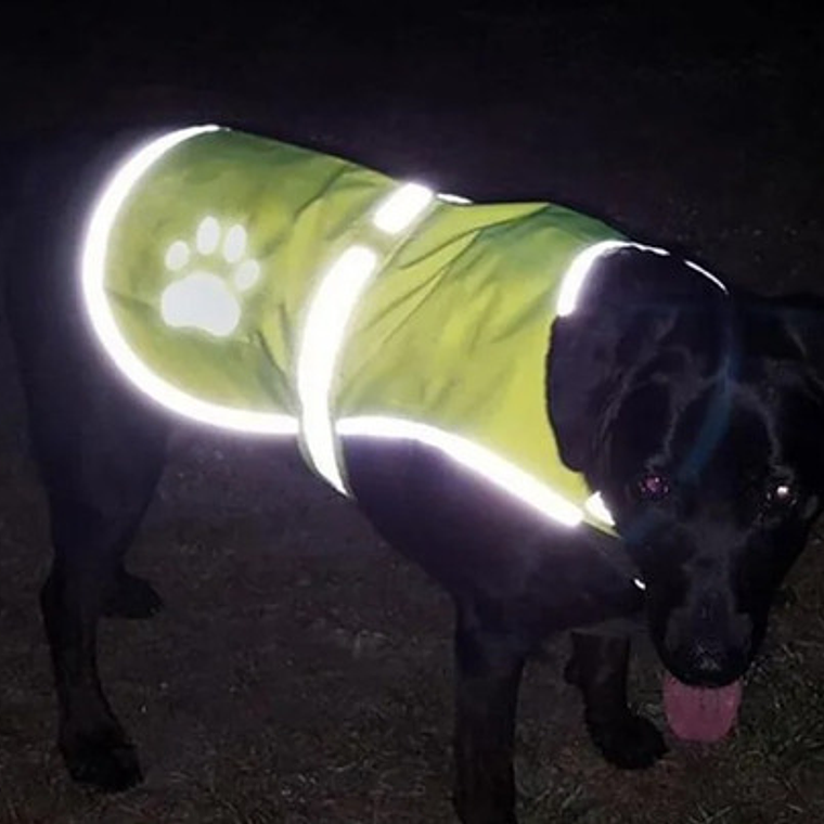 Chaleco Reflectante Paseo Seguro Mascota Perros Fluorescente 19