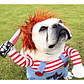 Disfraz Chucky Perros Gatos Halloween Tamaños - Miniatura 4
