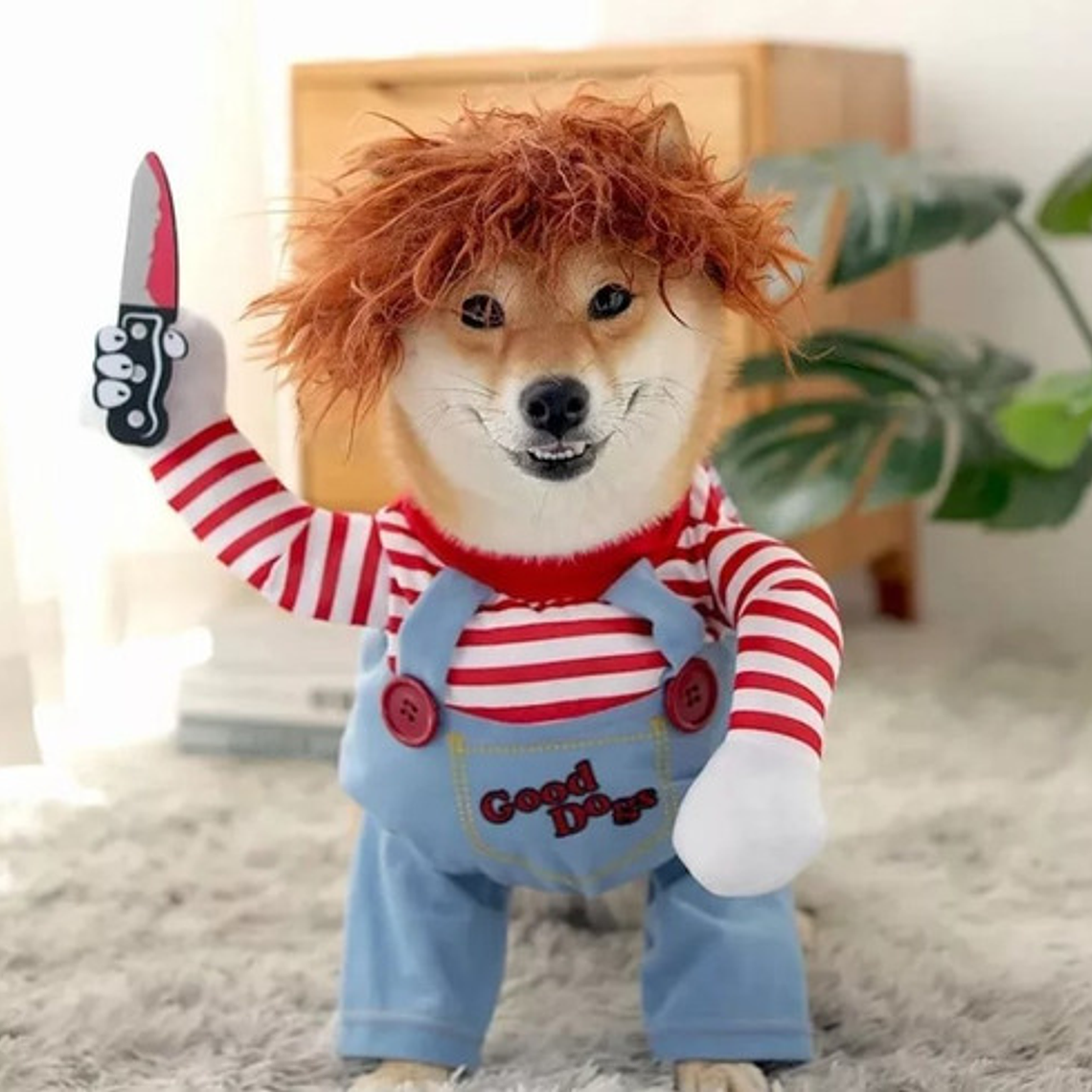 Disfraz Chucky Perros Gatos Halloween Tamaños 5