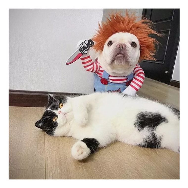 Disfraz Chucky Perros Gatos Halloween Tamaños 19