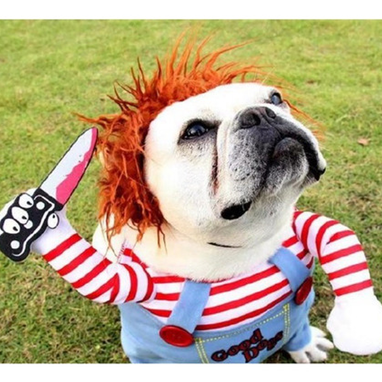 Disfraz Chucky Perros Gatos Halloween Tamaños 28