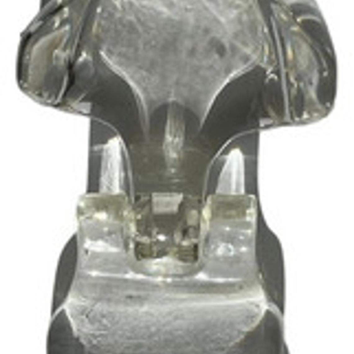 Modelo Dental Veterinario Gato Dentición Felinacalidad 4