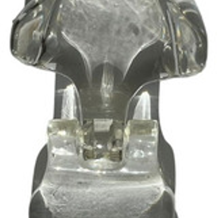 Modelo Dental Veterinario Gato Dentición Felinacalidad 4