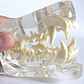 Modelo Dental Veterinario Gato Dentición Felinacalidad - Miniatura 5