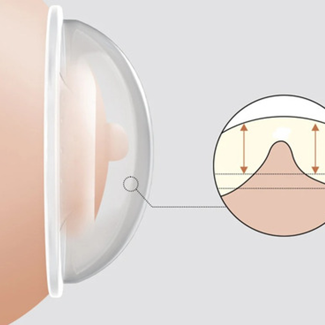 Protectores Mamarios Amapola Recolectora Calidad Libre Bpa 3