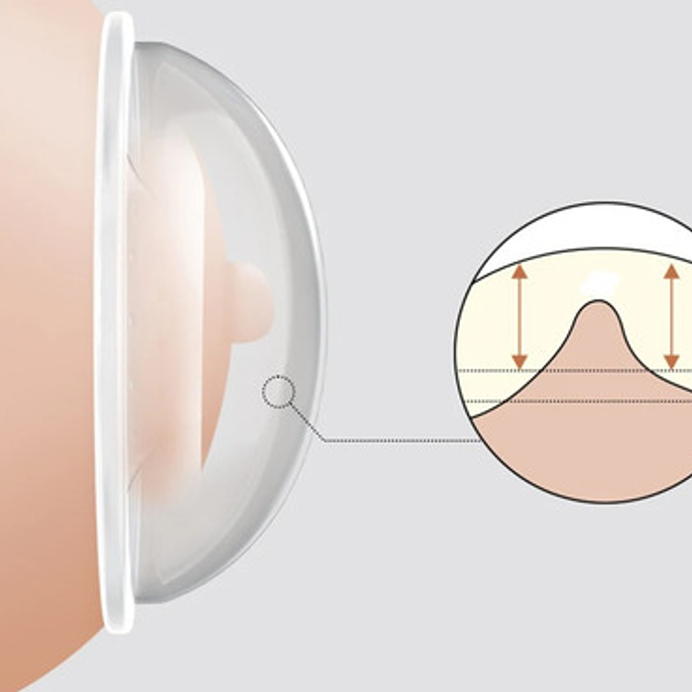 Protectores Mamarios Amapola Recolectora Calidad Libre Bpa 3