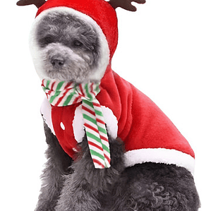 Disfraz Perros Gatos Traje Santa Navidad Calidad Tamaños