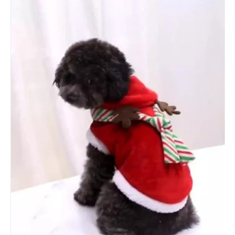 Disfraz Perros Gatos Traje Santa Navidad Calidad Tamaños 8