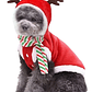 Disfraz Perros Gatos Traje Santa Navidad Calidad Tamaños - Miniatura 9