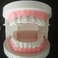 Modelo Ortodoncia Enseñanza Estéticos Autoligados Santiago - Miniatura 5
