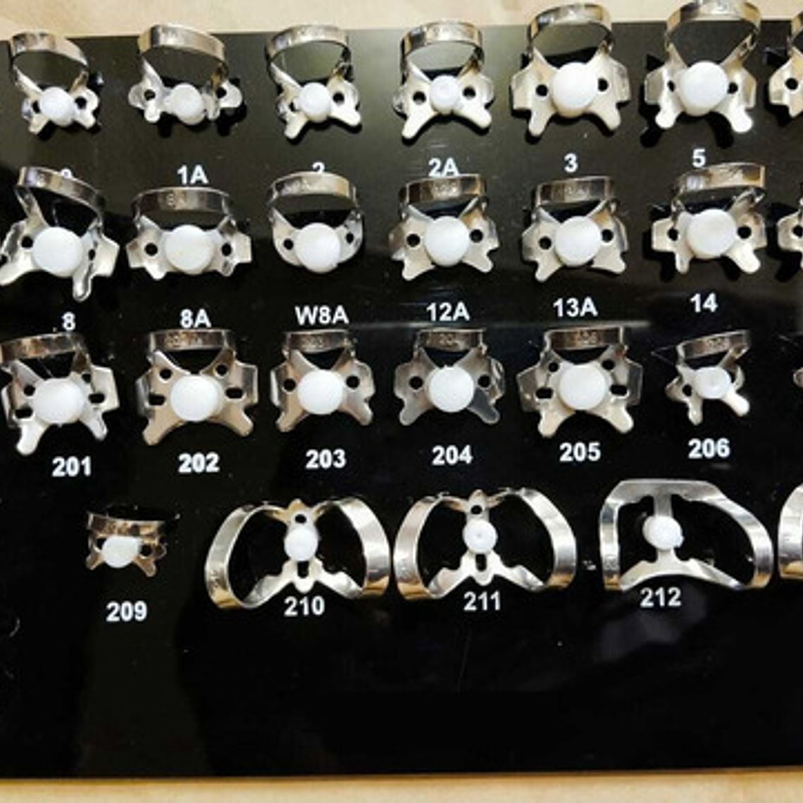 Set Xxl Clamp Dentales Acero Inoxidable Pacard Instruments 3