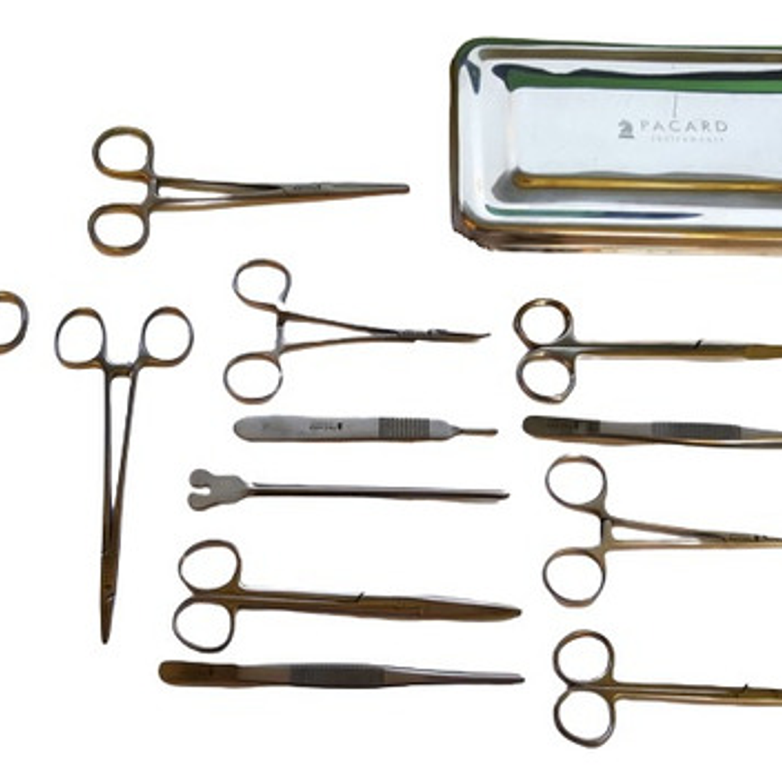 Set Quirúrgico Caja Xl Acero 13 Piezas Cirugía Menor Pacard 2