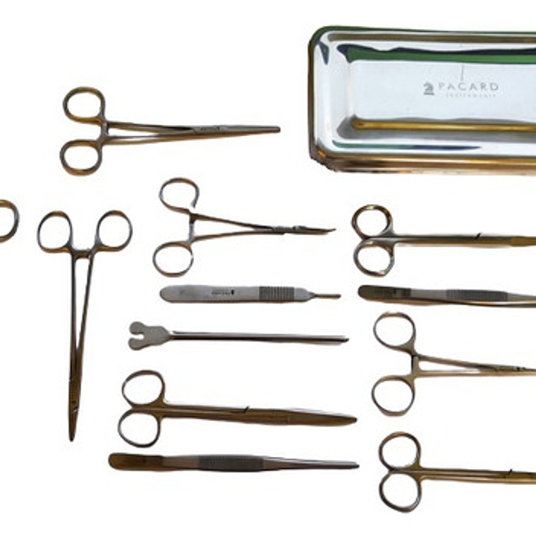 Set Quirúrgico Caja Xl Acero 13 Piezas Cirugía Menor Pacard 2