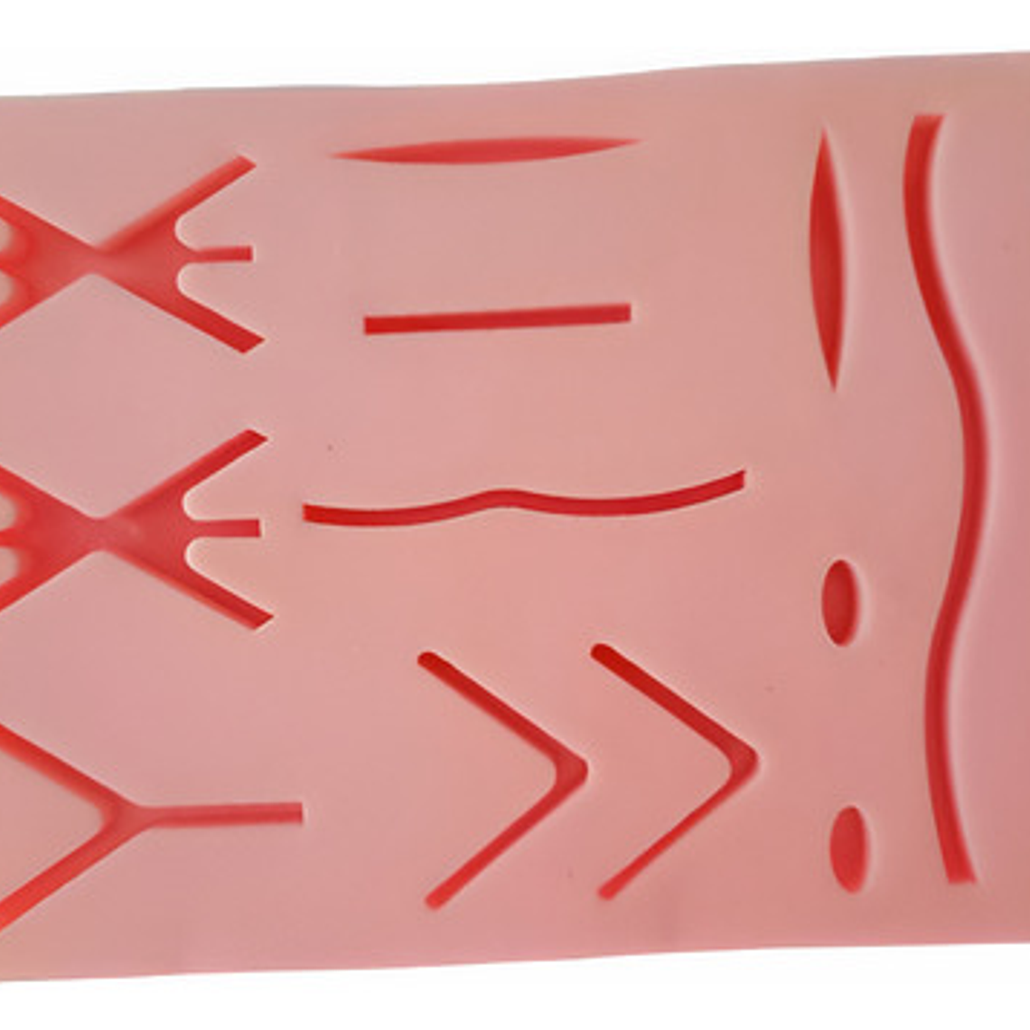 Almohadilla Práctica Sutura Medicina 18x12cm + Grande Caja 1