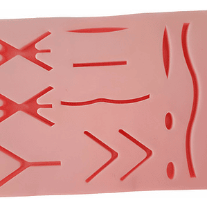 Almohadilla Práctica Sutura Medicina 18x12cm + Grande Caja