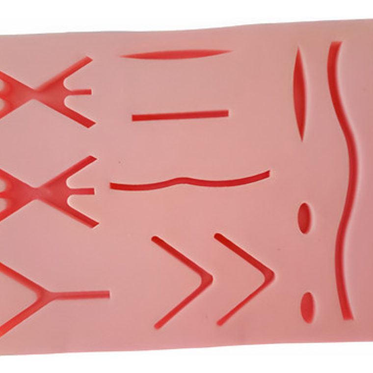 Almohadilla Práctica Sutura Medicina 18x12cm + Grande Caja 1