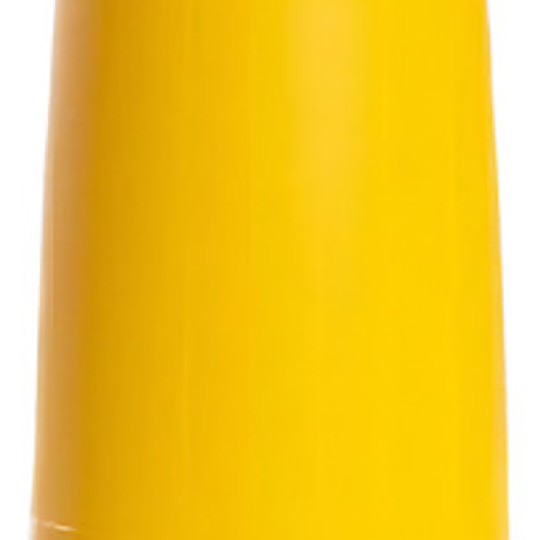 Buena Cepa Despolvillador Unidad 1 Amarillo 7