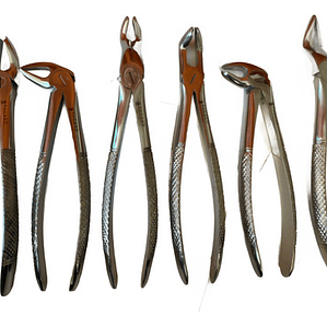 Fórceps Dentales Set De 6u Calidad Pacard Instruments Stgo.