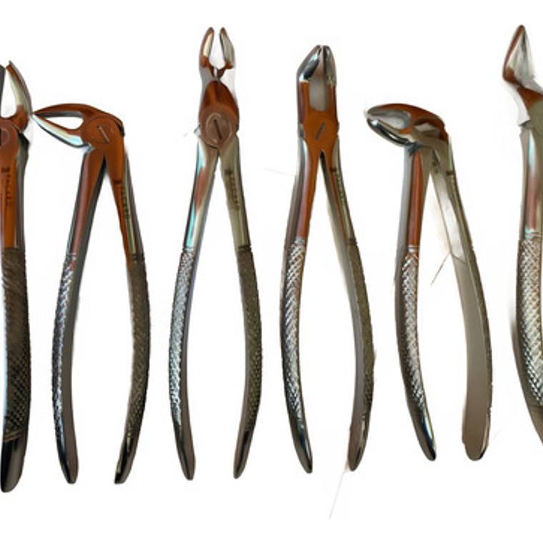 Fórceps Dentales Set De 6u Calidad Pacard Instruments Stgo. 1