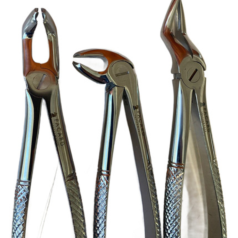 Fórceps Dentales Set De 6u Calidad Pacard Instruments Stgo. 2