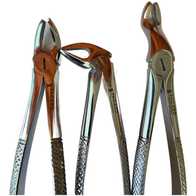 Fórceps Dentales Set De 6u Calidad Pacard Instruments Stgo. 3