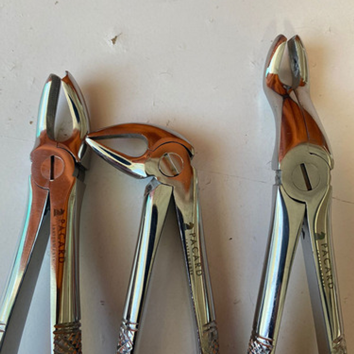 Fórceps Dentales Set De 6u Calidad Pacard Instruments Stgo. 6