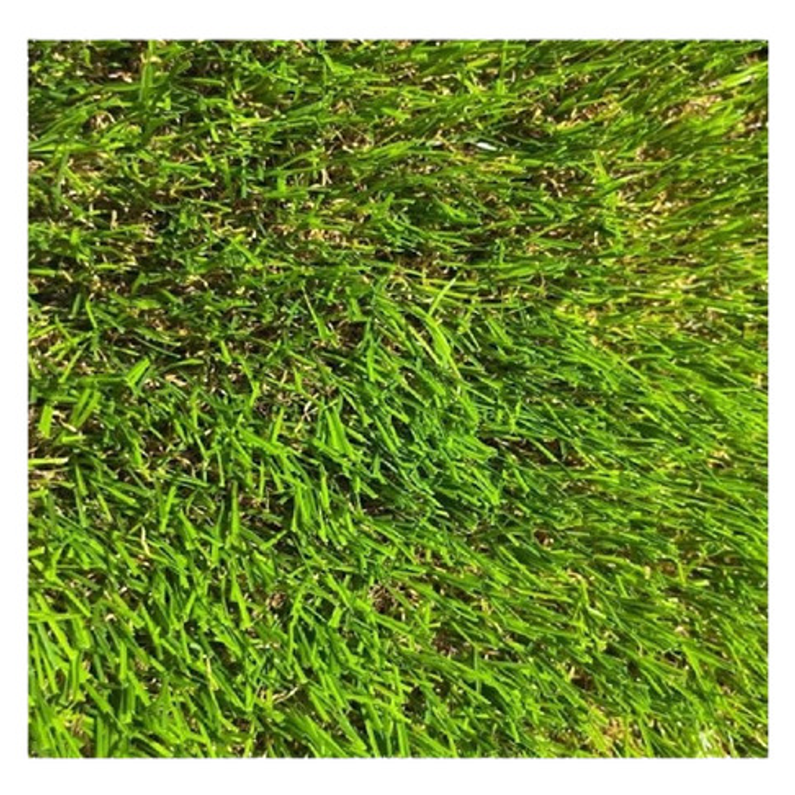 Pasto Sintetico 35mm Premium Memoria Rollo 2x5 Metros  1