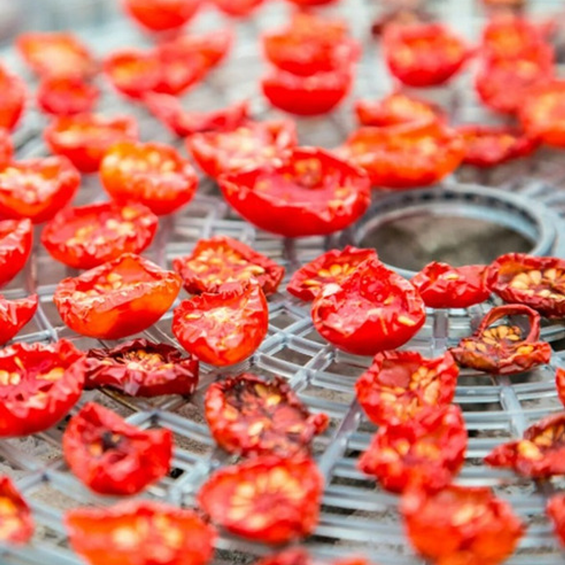 Deshidratador De Alimentos Frutas Cocina Origina Pacard 3