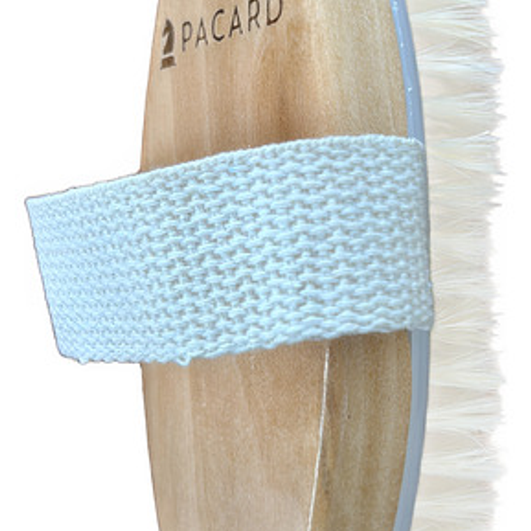 Cepillo De Cuerpo Seco Exfoliante Original Marca Pacard 2