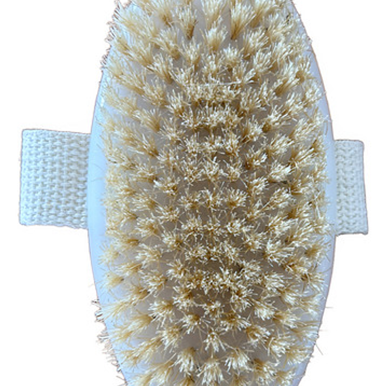 Cepillo De Cuerpo Seco Exfoliante Original Marca Pacard 9