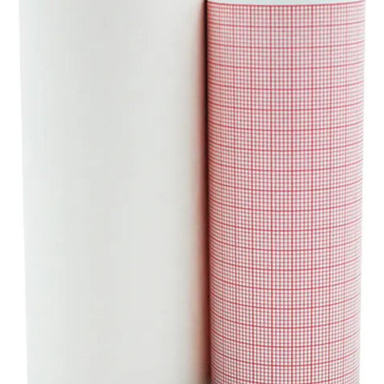 Pack 10 Papeles Térmicos Electrocardiograma Ecg 6 Can 110mm 3