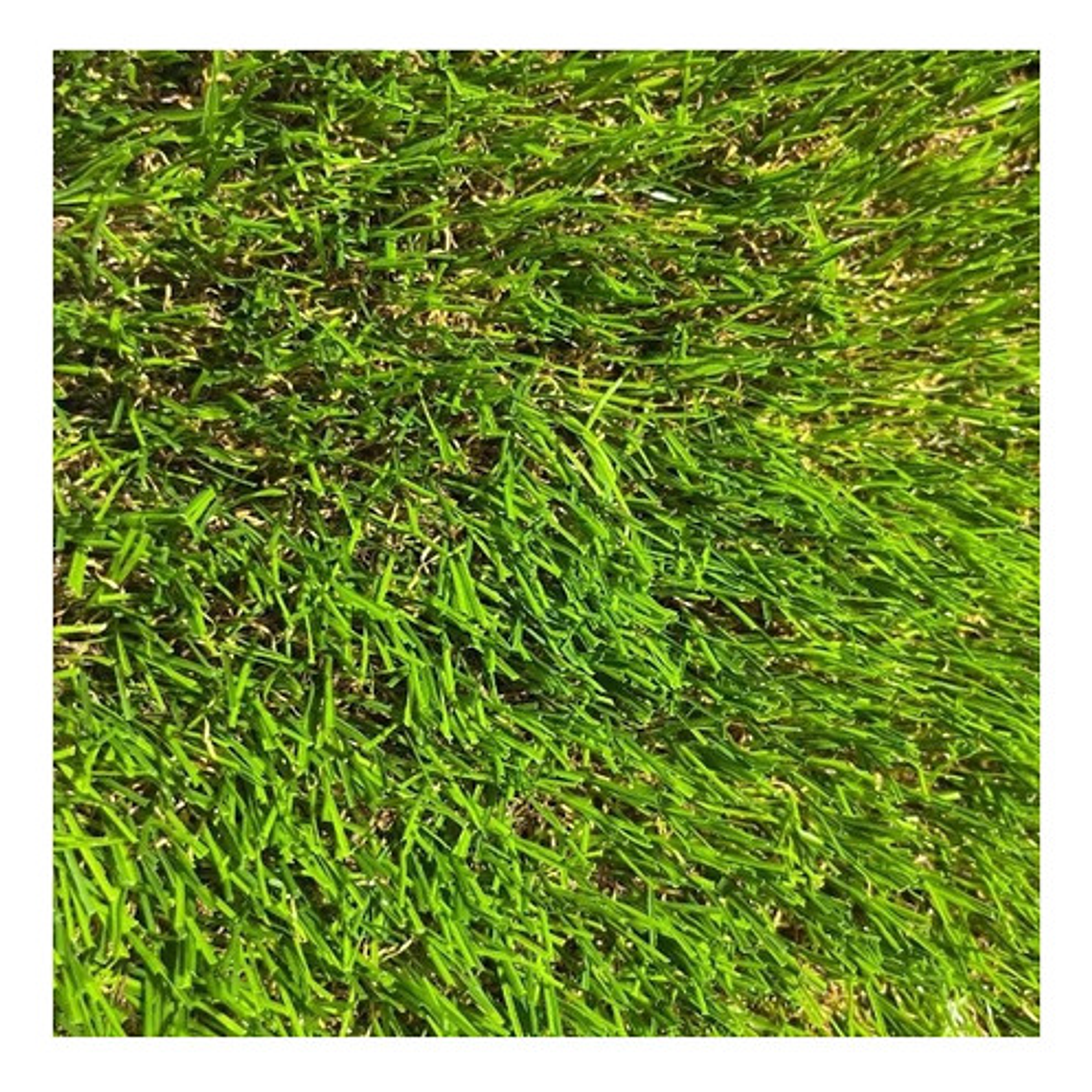 Pasto Sintetico 35mm Premium Memoria Rollo 2x10 Metros  3