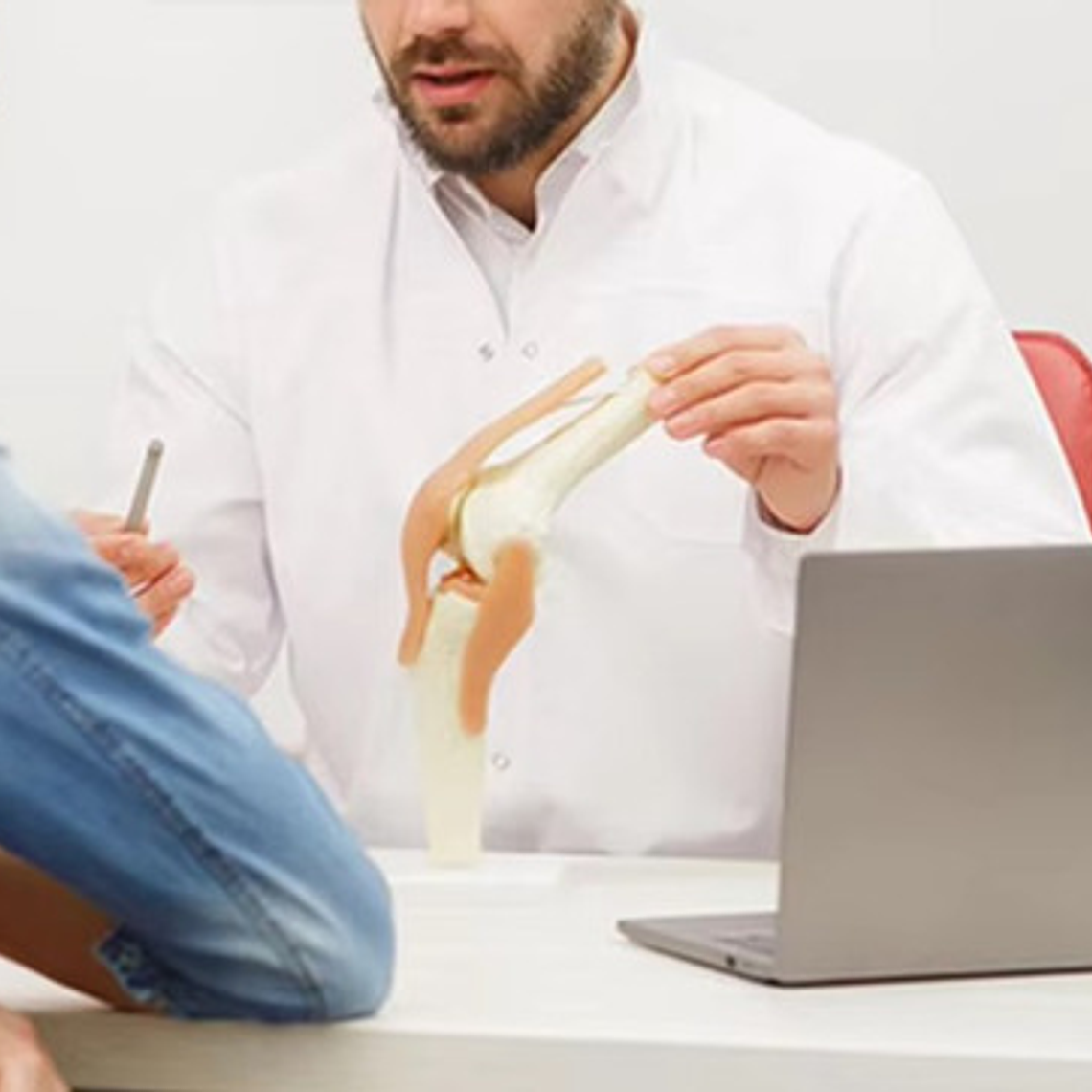 Modelo Anatómico De Estudio Rodilla Ligamentos 33cms 3