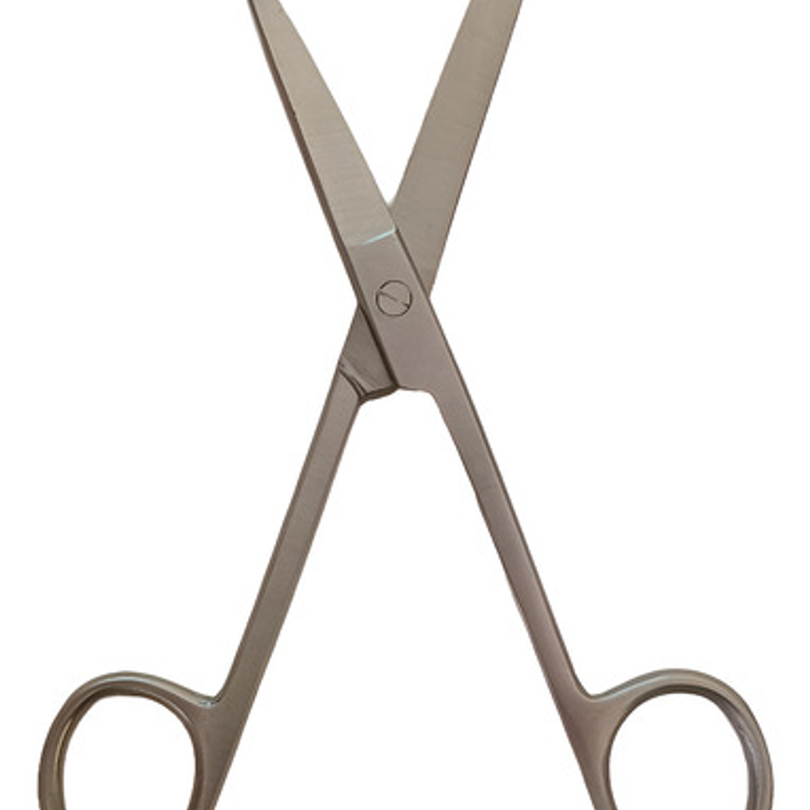 Tijera Quirúrgica Única Punta Roma Aguda 14cm Pacard Calidad 1