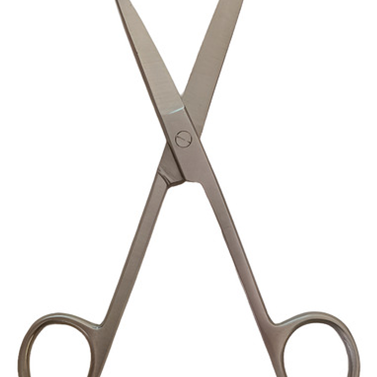 Tijera Quirúrgica Única Punta Roma Aguda 14cm Pacard Calidad 1