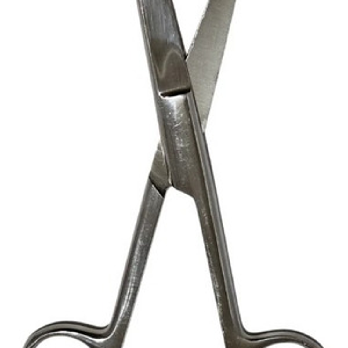 Tijera Quirúrgica Única Punta Roma Aguda 14cm Pacard Calidad 8