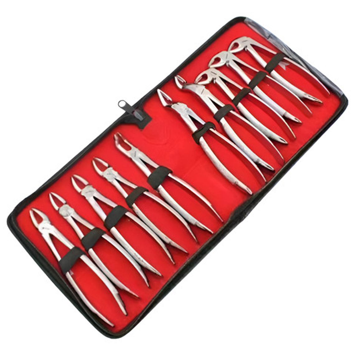 Fórceps Dentales Adultos Set De 10u Estuche Incluido 1