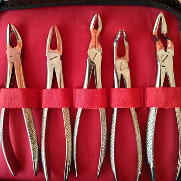 Fórceps Dentales Adultos Set De 10u Estuche Incluido 4