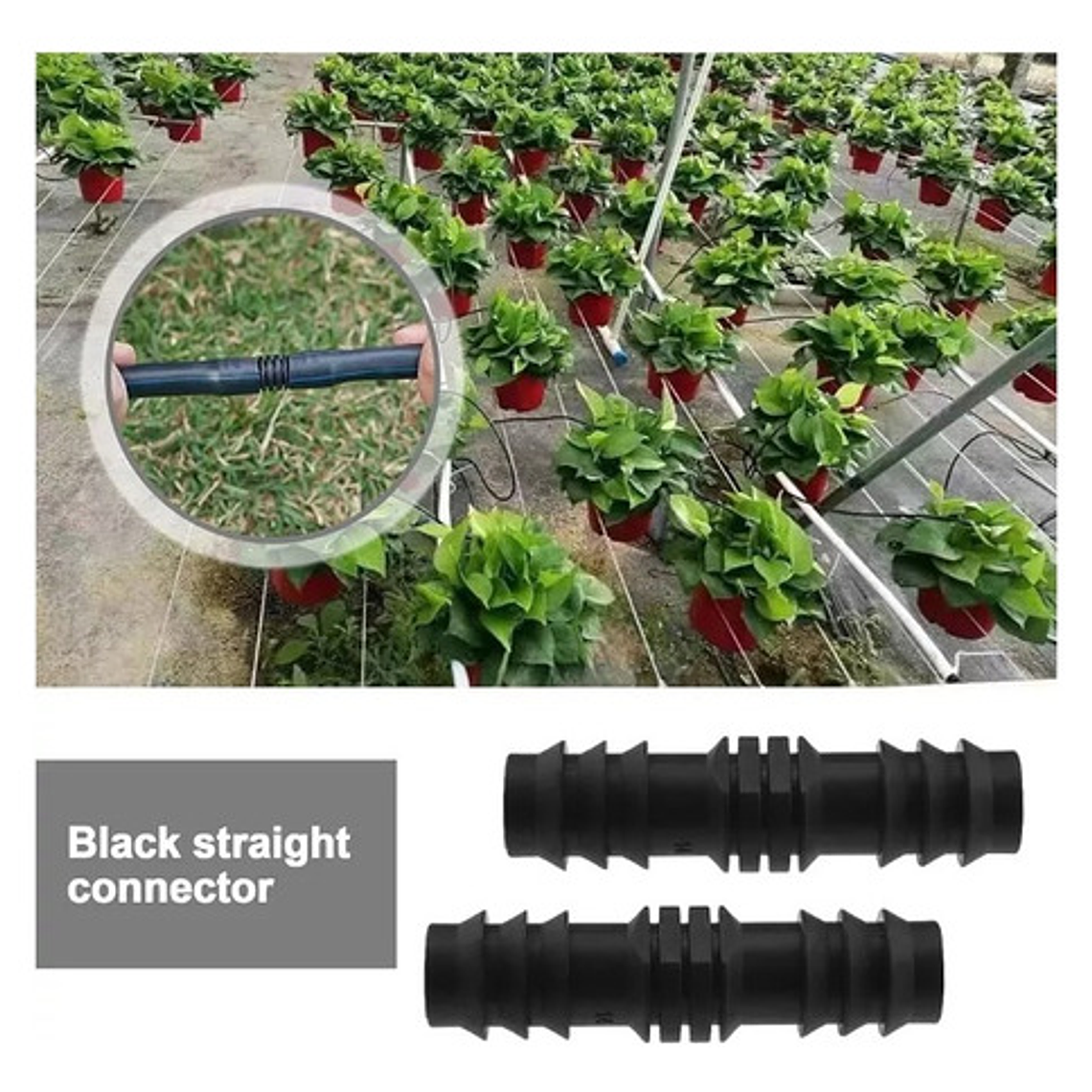 Pack 25 Copla Conector Plansa 1/2 (cañeria Polietileno 16mm) 3