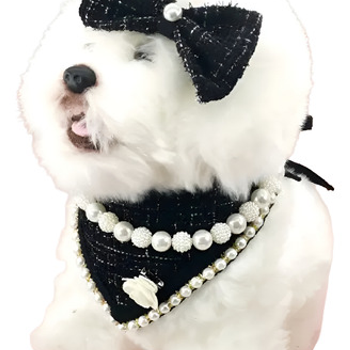 Traje Mascotas Perro/gatos Cintillo Humita Bandana Perlas 4