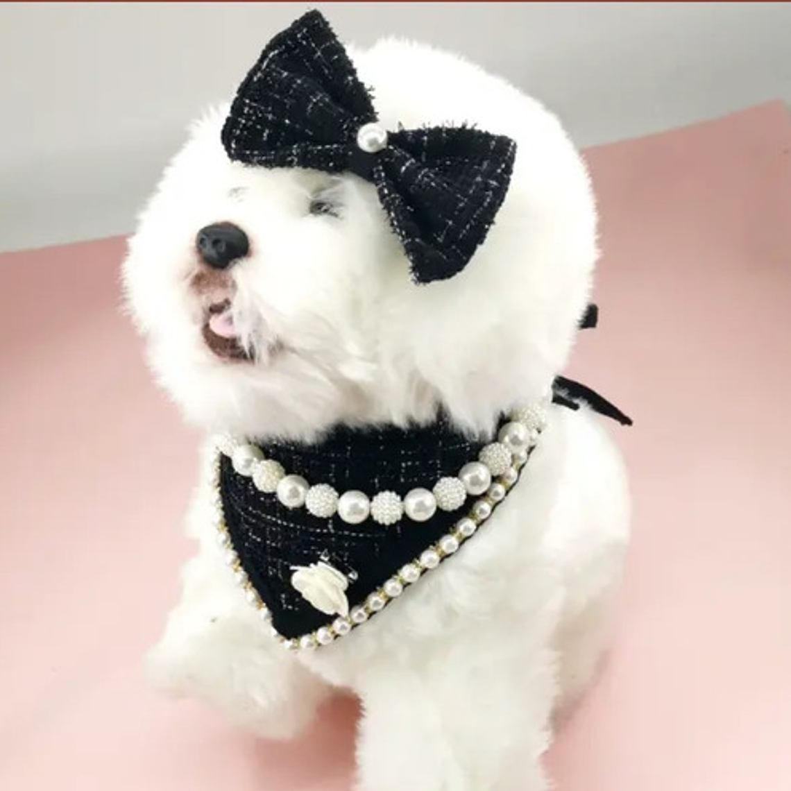 Traje Mascotas Perro/gatos Cintillo Humita Bandana Perlas 7