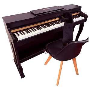 Piano Digital Pacard Realista 88 Teclas Madera Usb