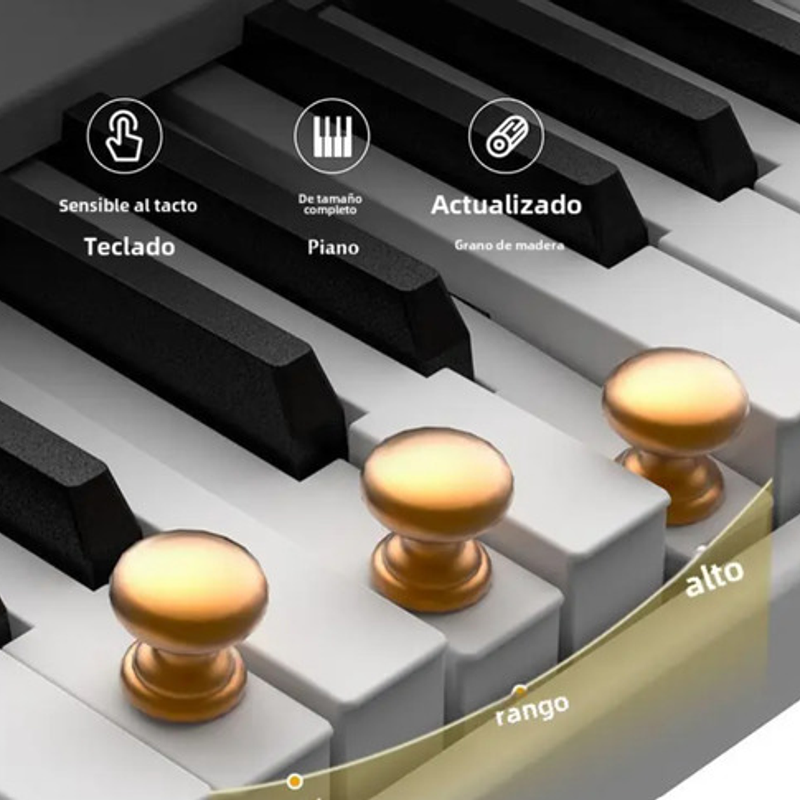 Piano Digital Pacard Realista 88 Teclas Madera Usb 15