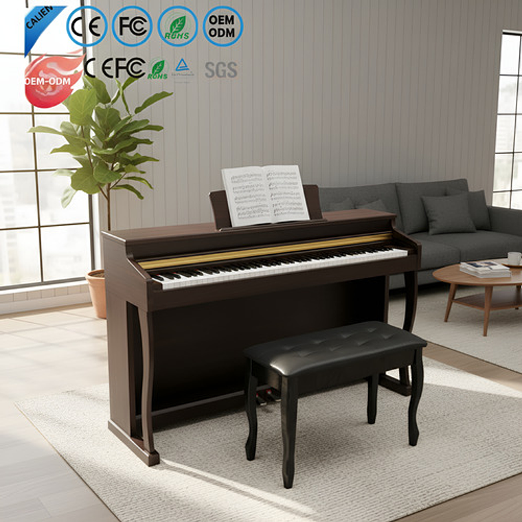 Piano Digital Pacard Realista 88 Teclas Madera Usb 18