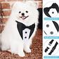 Traje Formal Humita Para Mascotas (perro/gatos) - Matrimonio - Miniatura 6