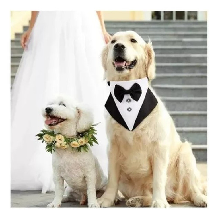 Traje Formal Humita Para Mascotas (perro/gatos) - Matrimonio 8