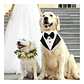 Traje Formal Humita Para Mascotas (perro/gatos) - Matrimonio - Miniatura 8