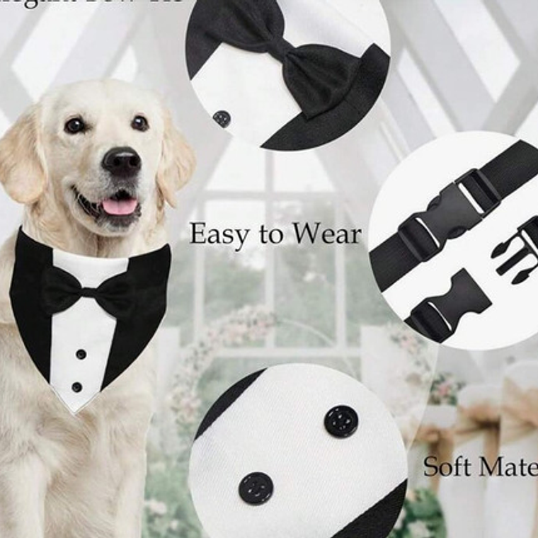 Traje Formal Humita Para Mascotas (perro/gatos) - Matrimonio 17