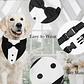Traje Formal Humita Para Mascotas (perro/gatos) - Matrimonio - Miniatura 17